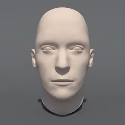 Caucasian Man Head Base Mesh