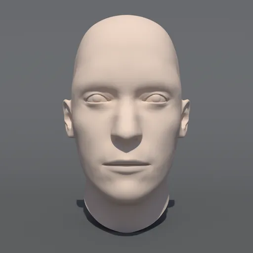 Caucasian Man Head Base Mesh