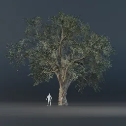 Oak Tree - Fully Grown (Summer)
