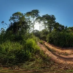 Dirt road at sunset