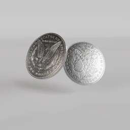 Morgan Silver Dollar