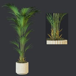 Plant 2 from *vip collection*