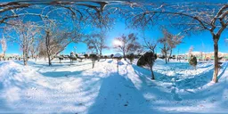 Snowy Garden Park Scene