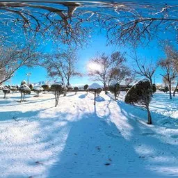 Snowy Garden Park Scene