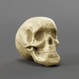 "Gold Skull 3D Model for Blender 3D: Quixel Mixer Sculpture with PBR Texture and Subdivision Control. Realistic close-up of a low-poly wood sculpture depicting a human skull on a gray surface. Perfect for artistic projects and renderings."