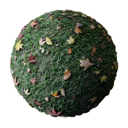 Grass with Autumn Maple Leaves