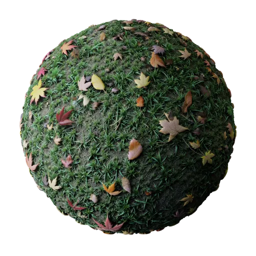 Grass with Autumn Maple Leaves