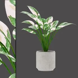 Urban Green Planter