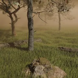 Procedural Grass (With Wind Animation)