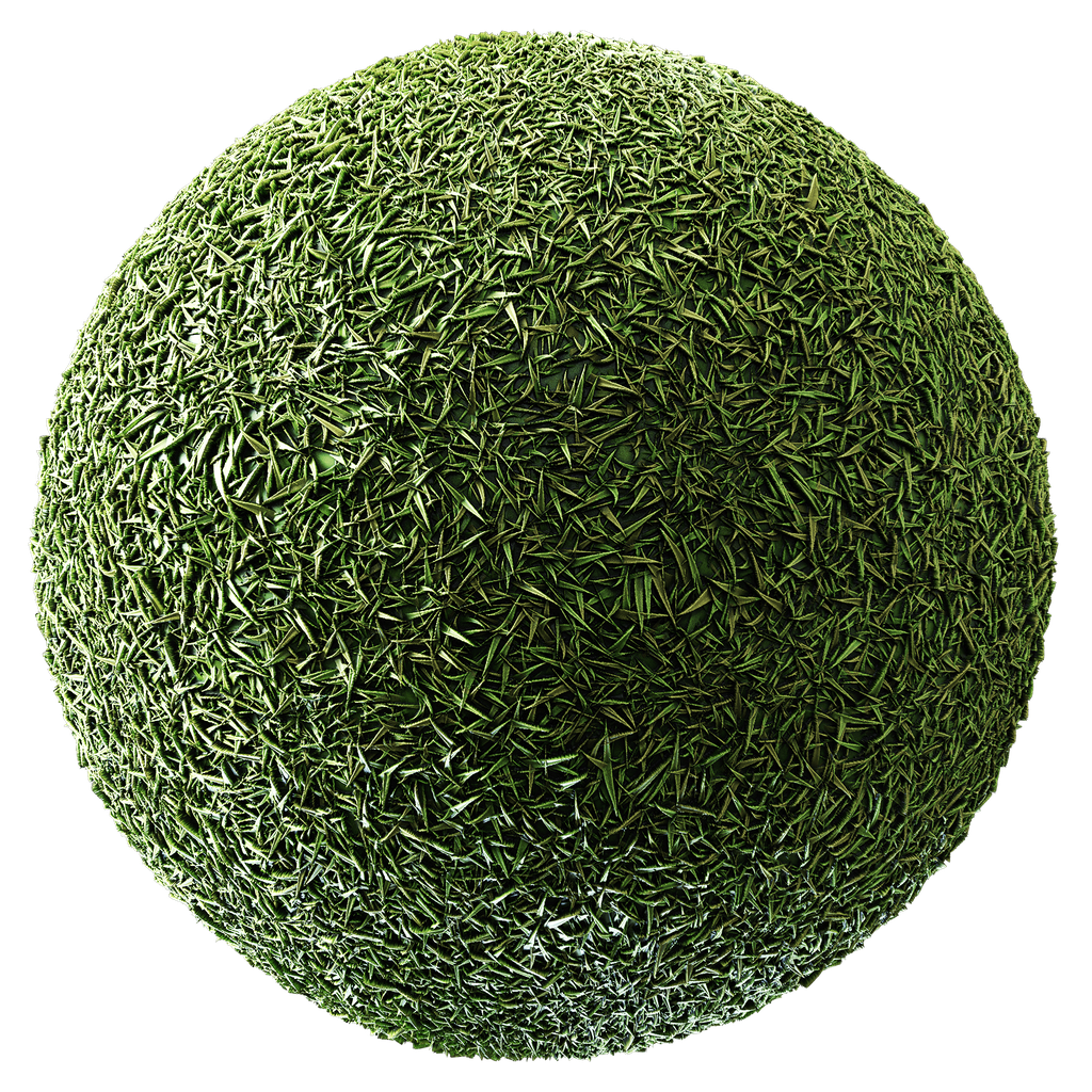 BlenderKit | Download the FREE Stylized Grass material