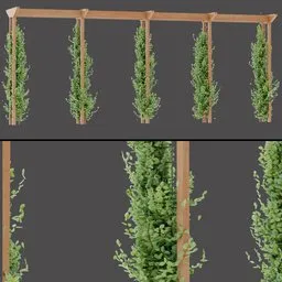 Dense Climbing Plant Frames