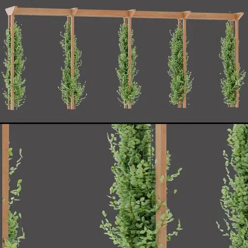Dense Climbing Plant Frames