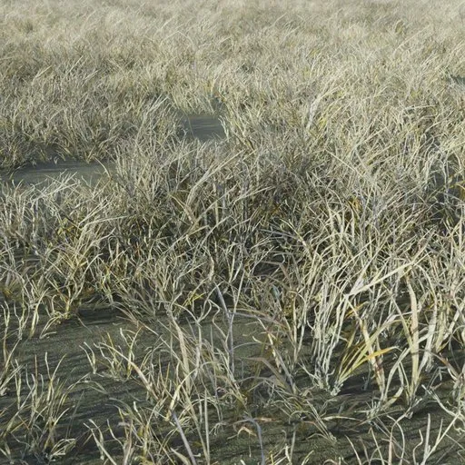 Highly detailed 3D dry grass asset, optimized for Blender, perfect for game environments and scenes.