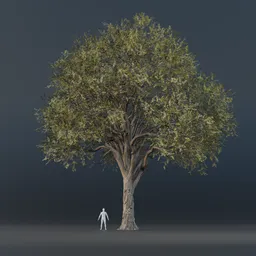 Oak Tree - Tall (Spring)