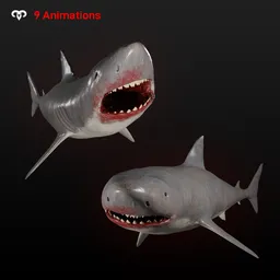 Bloody Bull Shark Animated