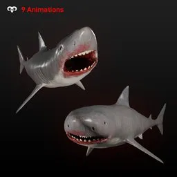 Bloody Bull Shark Animated
