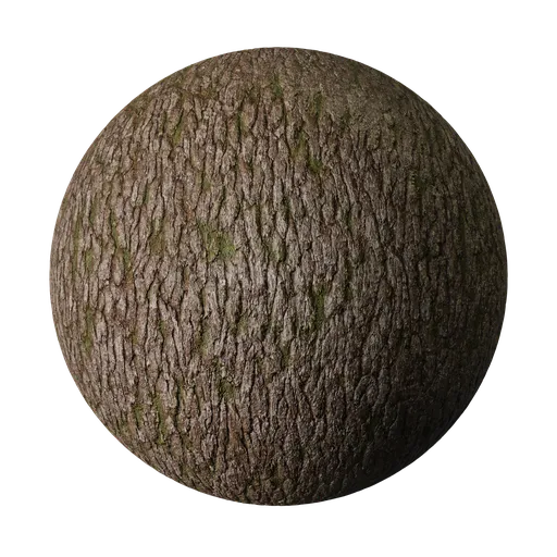 High-quality seamless PBR texture of mossy tree bark, suitable for realistic 3D rendering in Blender and other applications.