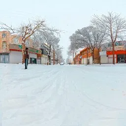 Commercial District Winter Street