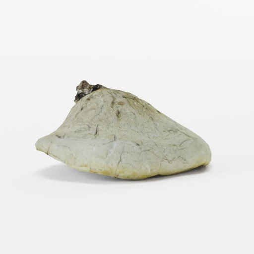 Thumbnail: Polypore Fungus