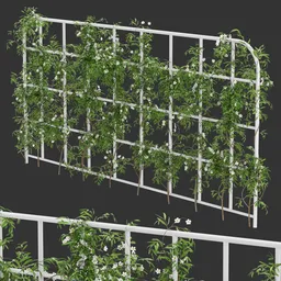 Grid Ivy Flowering Plant