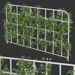 Grid Ivy Flowering Plant