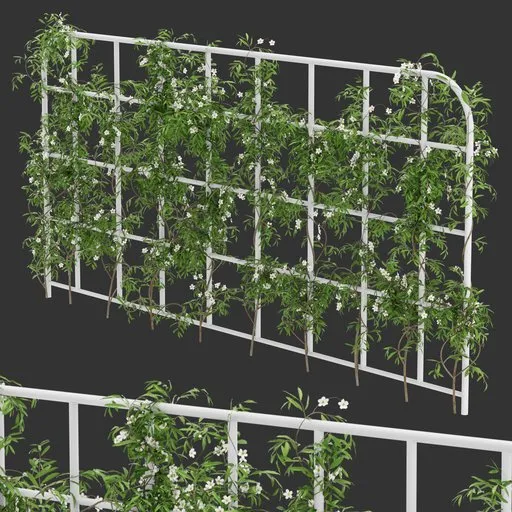 Grid Ivy Flowering Plant