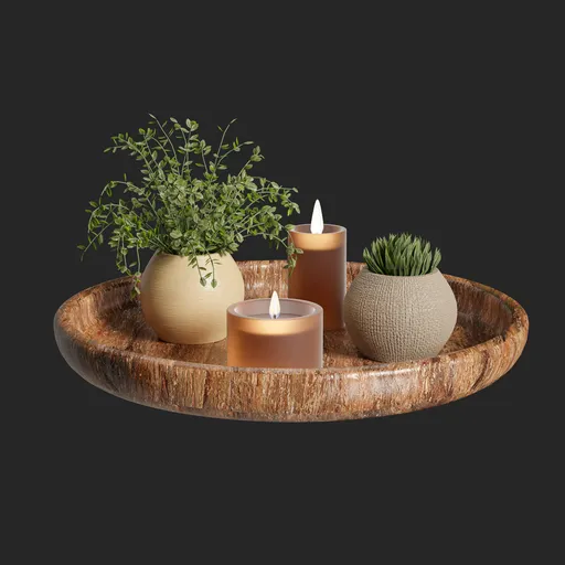 Plant