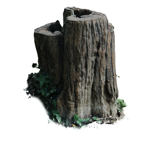 Thumbnail: Aged Wood Trunk
