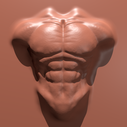 3D sculpting brush effect for torso anatomy, showing detailed pectoral and abdominal muscle definition on model.