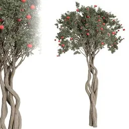 tree