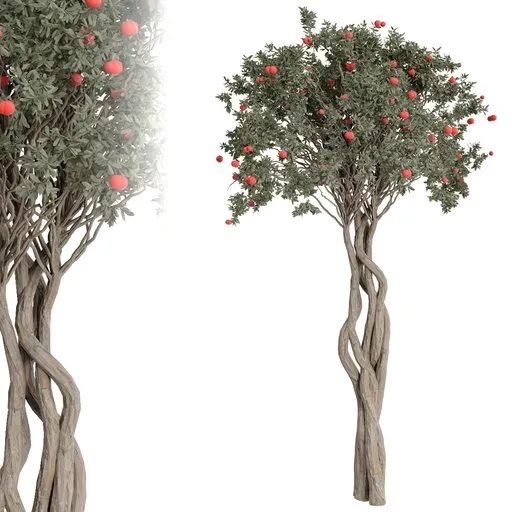 tree
