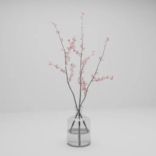 Minimalist Cherry Blossom