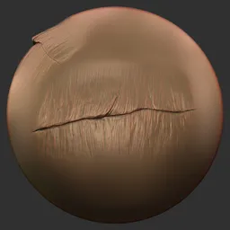 ER_Dragon Brush Spine Scales