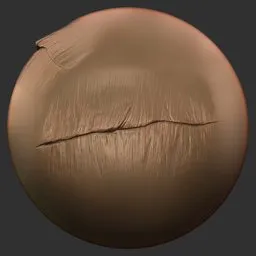 ER_Dragon Brush Spine Scales