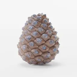 Realistic 3D pinecone model for Blender, ideal for digital fireplace decor and natural scenes.