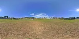 Grass Sunshine Blue Sky 12 AM