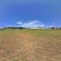 Grass Sunshine Blue Sky 12 AM