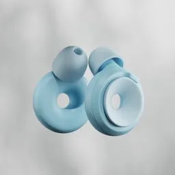 Earport