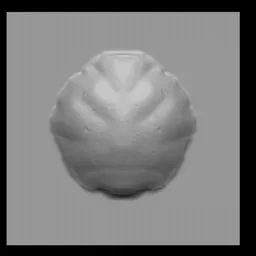 3D sculpting brush imprint of scales for Blender sculpting, ideal for aquatic creature modeling.
