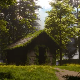 Forest Wooden Hut