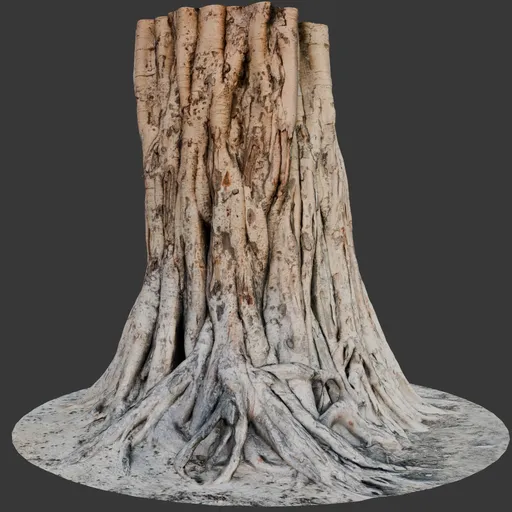 Ancient Tree