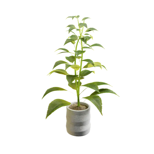 Realistic 3D model of a potted plant, designed in Blender, featuring detailed foliage.