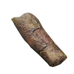 Tree debris