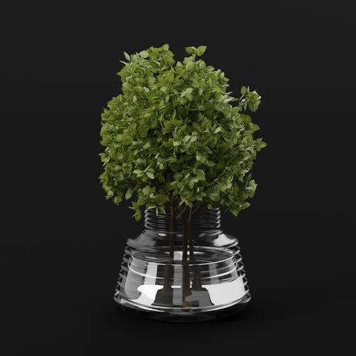 Veined Leaf Topiary