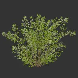 Bush Plant Game Ready