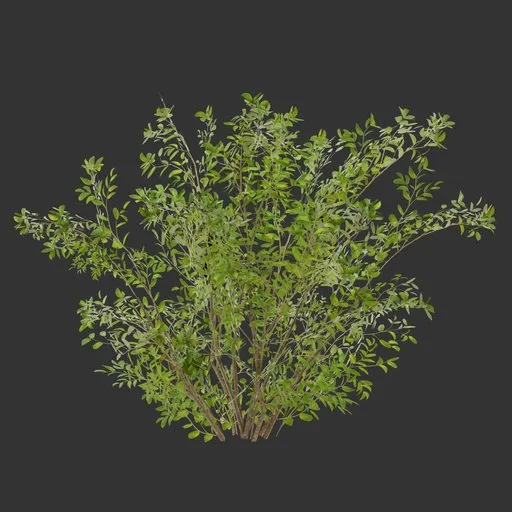 Bush Plant Game Ready