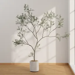 Modern Potted Tree