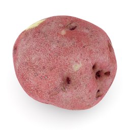 Red potato raw vegetable realistic scan