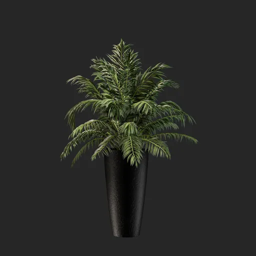 Plant