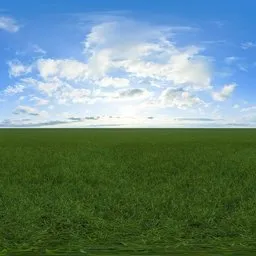Green grass cloudy blue sky pure sky